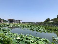 -浙江卡丁车场