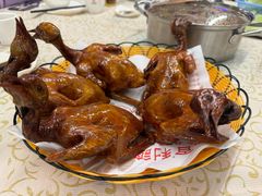 -百利鸽王(紫薇路店)