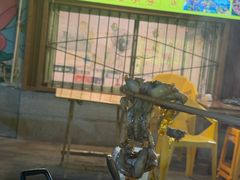 -鸿顺老铁锅美蛙鱼府(解放碑店)