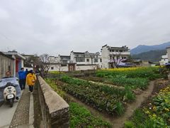 -绩溪龙川景区