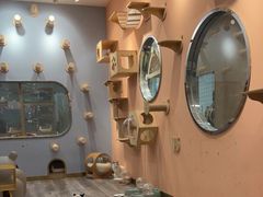 -BABIT巴比特宠物(MOMOPARK店)