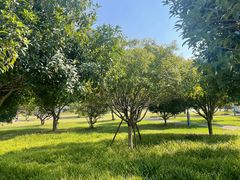 -食膳公园包子铺(烈士公园店)