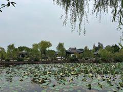 -无锡蠡湖国家湿地公园-蠡园