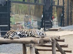 -北京野生动物园