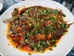 土匪鱼-土匪鱼酒店