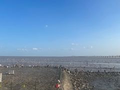 -南汇新城海滩