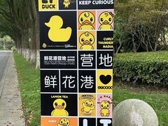 -上海鲜花港