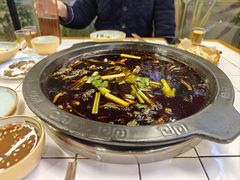 -费明中罗非鱼(大石坝店)