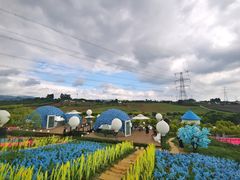 -紫颐香薰山谷景区