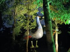 -成飞公园