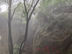 -六里坪国家森林公园