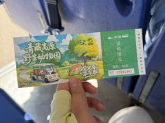 -青藏高原野生动物园