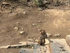 -黔灵山公园