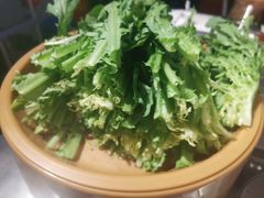 生菜-龍歌自助小火锅(崂山丽达店)