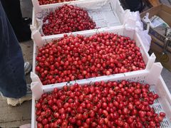 -登州市场(登州路店)
