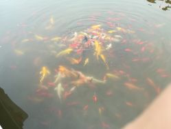 -大望京儿童游乐场