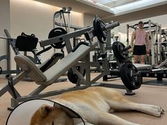 -YCHL Studios健身工作室(市二宫店)