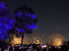 -洋湖国家湿地公园