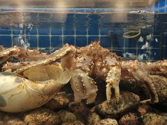 -健眺小海鲜(临海后山店)