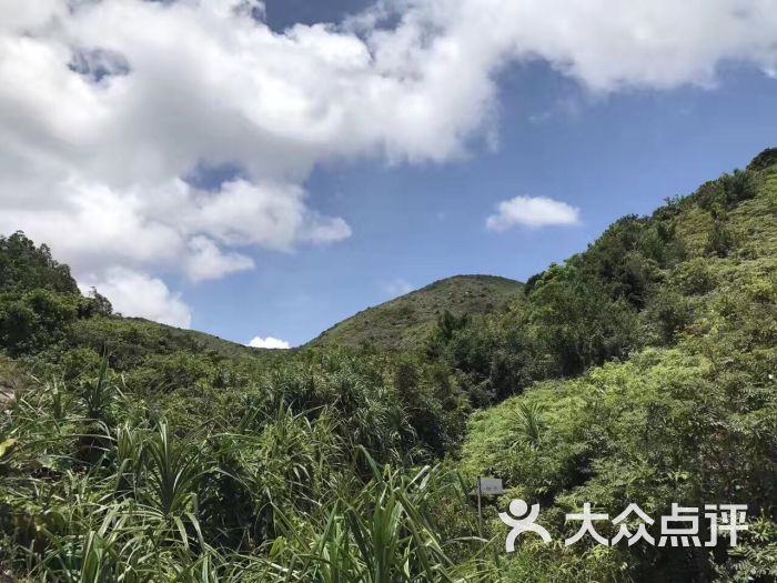 中央南丫岛远足径图片 - 第1张