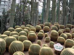 -南山植物园