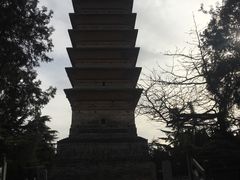-洛阳白马寺