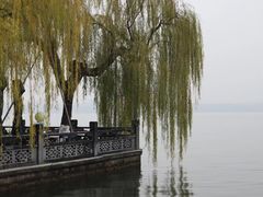 -西湖游船