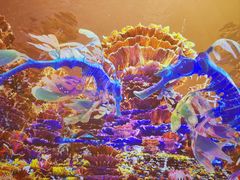-海合安青岛极地海洋公园