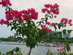 -碧桂园十里银滩