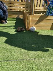 -萌宠亲子动物乐园(槐房万达店)