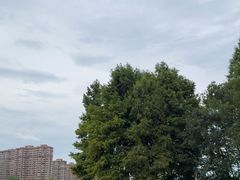 -青枫公园