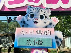 -青藏高原野生动物园