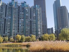 -西北湖绿化广场