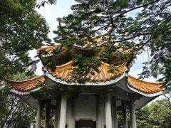 -红花山公园