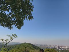 -长广溪湿地公园