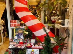 -溪岸路花鸟市场