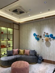 -诗媛嘉美健康管理中心(金桥店)