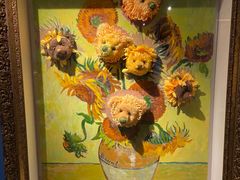 -成都泰迪熊博物馆