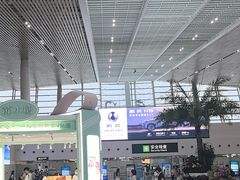 -厦门高崎国际机场-T4航站楼
