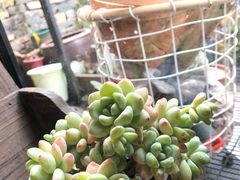 -壹华里·市集