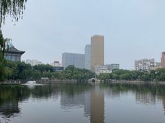 -文瀛公园
