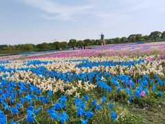 -上海都市菜园