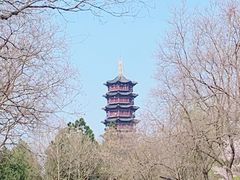 -江苏三台山国家森林公园
