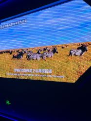 -飞览天下沉浸式飞行体验(北京旗舰店)