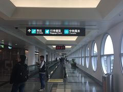 -厦门高崎国际机场-T3航站楼