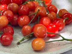 -boundaries籬苑(瑞光创意工厂-贰号院店)