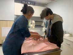 -瑞派紫金宠物医院24小时·骨科·中兽医·重症转诊中心(番禺大石院)