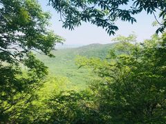 -皇藏峪国家森林公园
