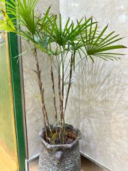 -逸丝风尚专注烫染