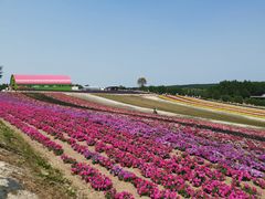 -富田农场